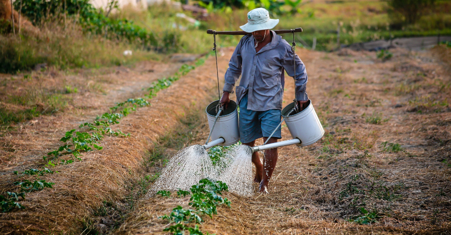 Aposentadoria por idade rural: como comprovar o tempo na agricultura